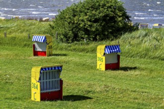 Three colorful beach chairs on a green grassy area with a view of the sea, beach chairs on the