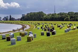 Lots of beach chairs on a green field next to a path with a view of a city in the background, beach