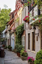 Picturesque old town alleyway with historic houses, surrounded by plants and flowers in a quiet