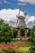 Historic windmill surrounded by blooming flowers and trees under a cloudy sky, An old historic