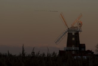Geese in a flock or skein flying above a windmill in winter, Cley-next-to-the sea, Norfolk,