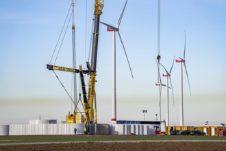 Construction site of the new Bedburg 3 wind farm, on recultivated open-cast mining site, 9 wind