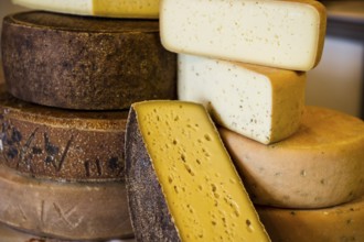 Cheese, hard cheese, organic cheese, Black Forest, Baden-Württemberg, Germany