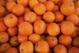 Oranges, juice oranges, fruit, fruit stand, market stand, market, Fellbach, Baden-Württemberg,