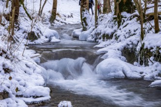 Small watercourse in winter with ice floes and mossy stones, Brühlbach below Urach Waterfall, Bad