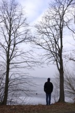 View of a frozen lake, trees in the foreground, winter, Germany