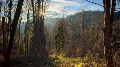 View of wooded landscape with mountains in the background and sun in the sky, Franconian Forest