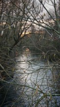 A quiet river flows through wintry branches in the light of sunset, atmospheric, Franconian Forest