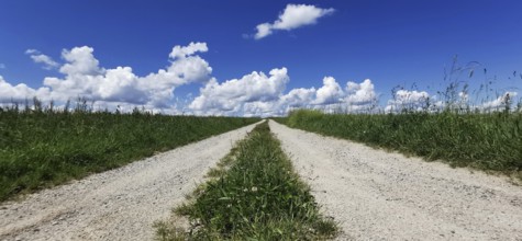 A long dirt road leads through a vast green landscape under blue skies, Franconian Forest nature