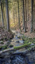A rippling stream flows through a quiet forest, Frankenwald nature park Park
