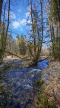 A clear stream flows through a forest under a blue sky, Frankenwald nature park Park
