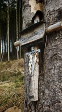 A crucifix is attached to a tree in a forest, symbolizing quiet religiosity in nature, Frankenwald