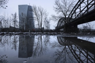 The European Central Bank (ECB) in Frankfurt is reflected in a puddle on the banks of the Main,