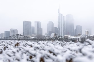 Clouds envelop Frankfurt's banking skyline. Heavy snowfalls have caused another onset of winter in