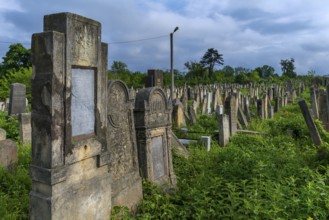 Jewish cemetery, Czernowicz, Bukovina, Ukraine