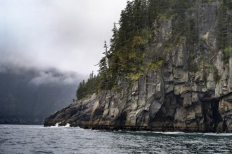 Mystical fog sweeps around rocky coast, Kenai Fjords National Park, Kenai Peninsula, Alaska, USA