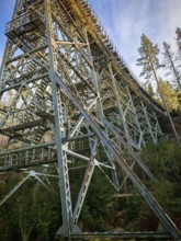 Massive metal structure of an old railroad bridge towering high above a forest, Ziemestalbrücke,