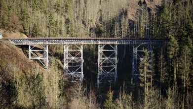 Old metal railway bridge surrounded by a thick forest in sunlight, Ziemestalbrücke, Thuringian