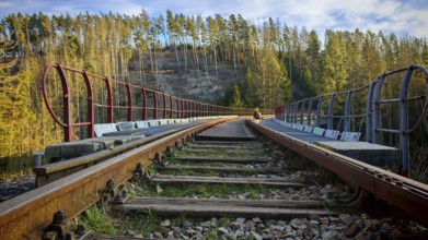 A person sits on long railroad tracks on a railroad bridge that runs in thick forest,