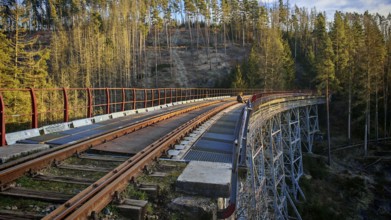 A person sits on the tracks of an old metal railroad bridge that leads through a forest,