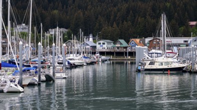 Sailing boats in harbor, Seward, Kenai Peninsula, Alaska, USA