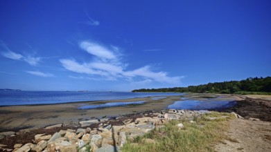 Extensive sandy beach on the coast with blue sky and white clouds, Slovenia