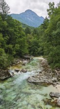 River flows through wooded landscape with views of mountain peaks, peaceful nature, Soca Valley,