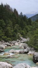 River flows over stones through a forest with mountains in the background, Soca Valley, Slovenia