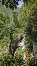 Gorge with clear water surrounded by thick green forest and rocks, Soca Valley, Slovenia