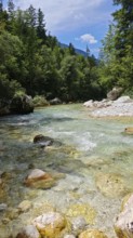 A clear river flows through a forest with rocks, illuminated by the sun, Soca Valley, Slovenia
