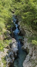 Narrow gorge with turquoise blue water surrounded by thick greenery and rocks, Soca Valley,