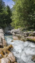 Rustling river between rocks and lush green forest in a mountainous landscape, Soca Valley,