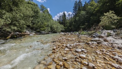 A shallow, clear river with rocks flows through a wooded area, Soca Valley, Slovenia