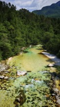 A clear river flows through a wooded area with mountains in the background, Soca Valley, Slovenia