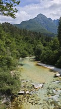 A clear river flows through a lush forest with mountains in the background, Soca Valley, Slovenia