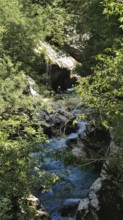 Small waterfall surrounded by green trees and rocks, a quiet natural setting, Soca Valley, Slovenia