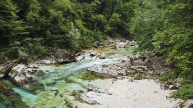 Clear river with rocks and green forest in the background, calming natural landscape, Soca valley,