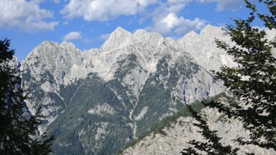 Majestic mountains under blue sky with trees in the foreground, Slovenia