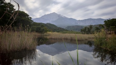 A calm lake reflects the Tahtali Dagi and surrounding mountains and clouds, surrounded by reeds