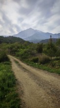 An unpaved trail snakes through a wooded landscape with mountains towards Tahtali Dagi, Lycia,