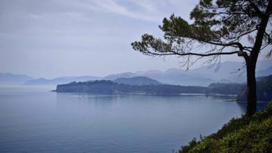 A quiet coastal scene with mountains in the distance and a tree in the foreground, Antalya, Turkey