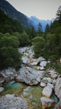 A clear mountain river surrounded by rocks and trees with mountains in the background, Soca Valley,