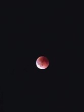 Bright red moon, blood moon, against a dark, almost black night sky, Upper Franconia