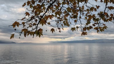View through autumn tree branches of a calm lake and distant mountains under cloudy sky, Lake
