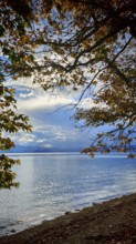 Waterfront view of a calm lake with autumn leaves and dramatic sky, Lake Ohrid, North Macedonia