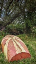 An old, weathered boat in a meadow with the North Macedonian flag as painting under a shady tree in