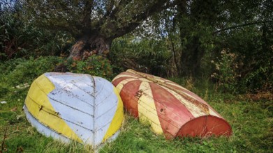 Two old, colorful boats are lying, with the Macedonian flag painted, in a meadow next to a tree,