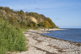 Beach and cliffs, people on the beach, autumn, Lobbe, Mönchgut, Rügen, island, Baltic Sea,