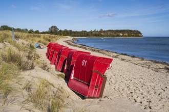 Red beach chairs side by side on sandy beach, beach and cliffs, people on the beach, autumn, Lobbe,