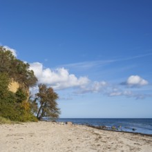 Cliff and beach near Lobbe, Mönchgut peninsula, Rügen, island, Baltic Sea, Mecklenburg-Western
